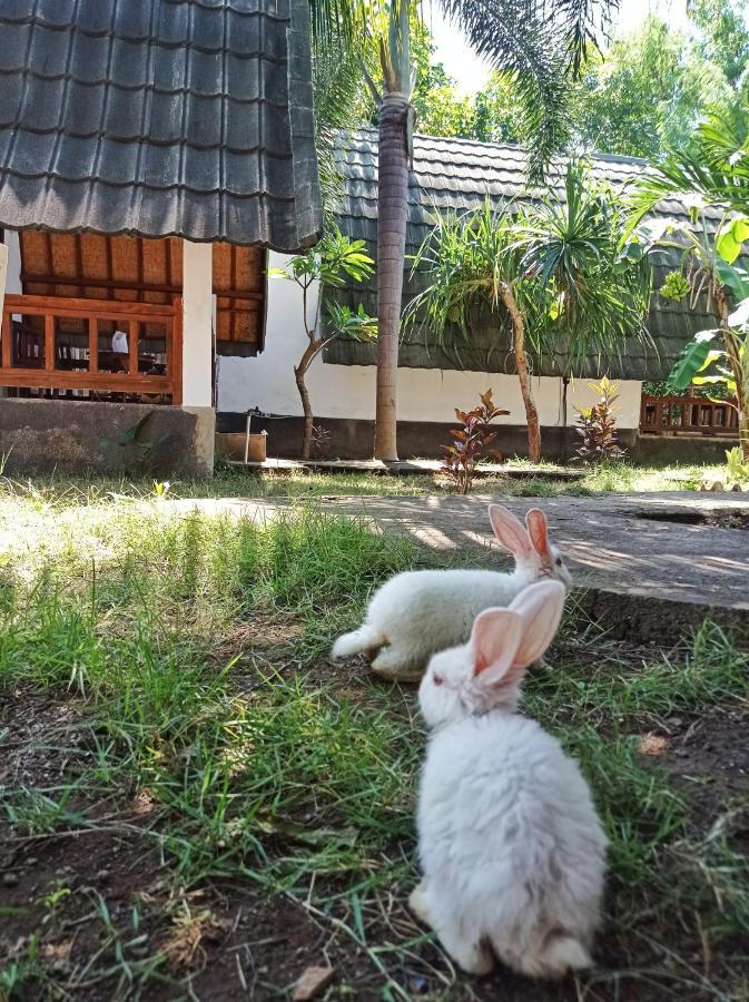 Follow The Rabbit Bungalow Gili Air Luaran gambar