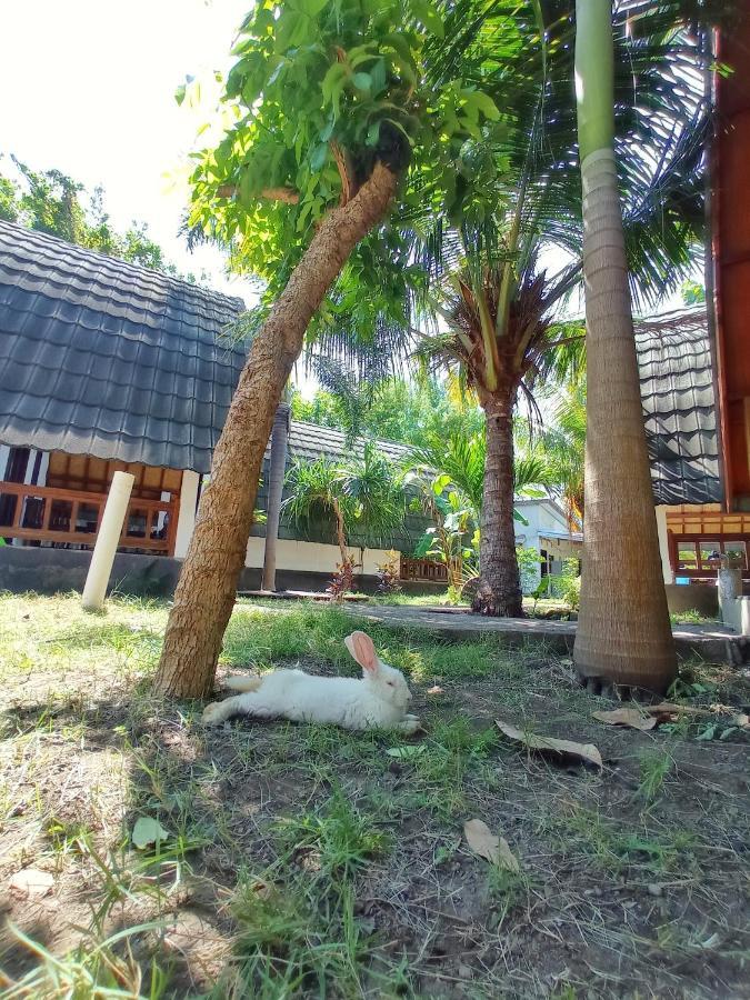 Follow The Rabbit Bungalow Gili Air Luaran gambar