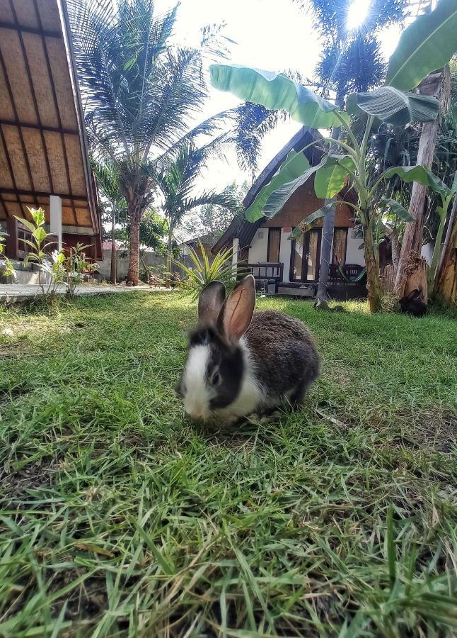 Follow The Rabbit Bungalow Gili Air Luaran gambar