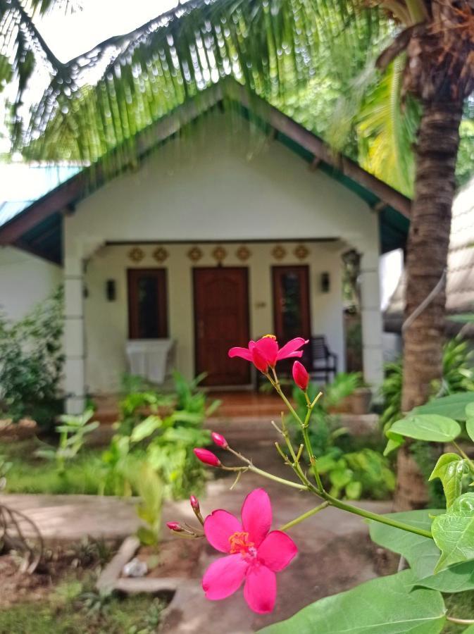 Follow The Rabbit Bungalow Gili Air Luaran gambar