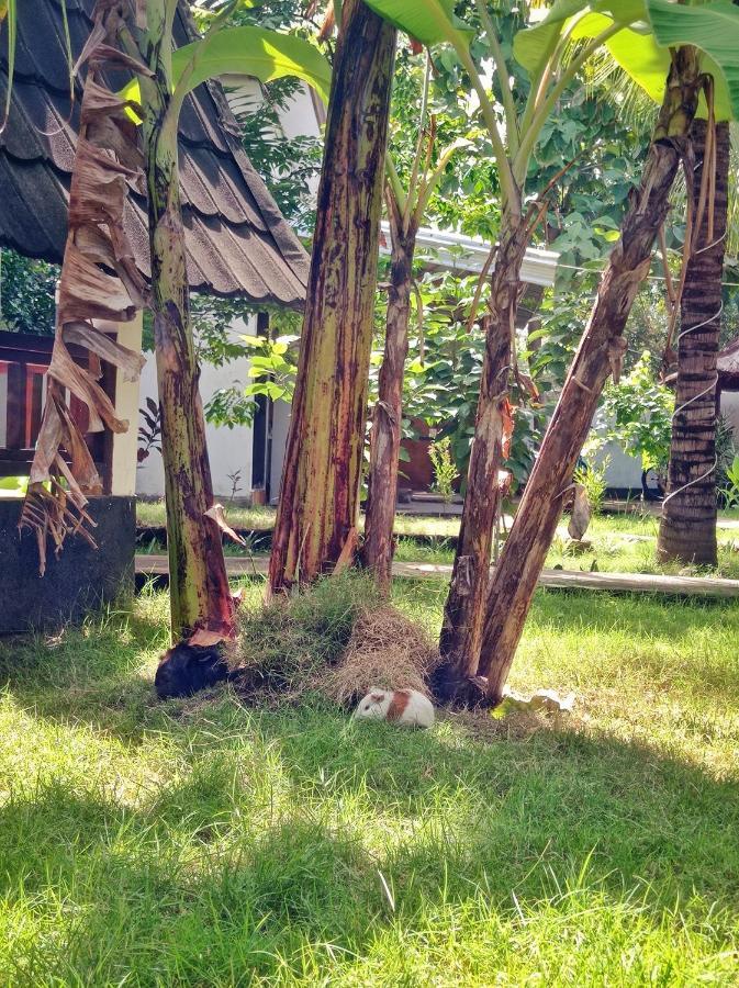 Follow The Rabbit Bungalow Gili Air Luaran gambar