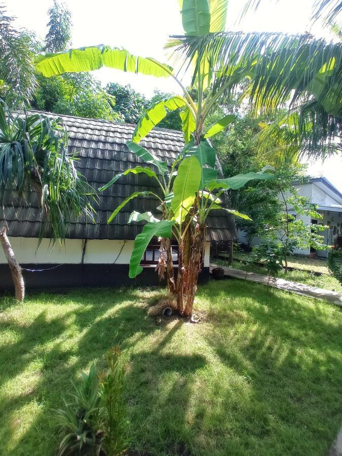 Follow The Rabbit Bungalow Gili Air Luaran gambar